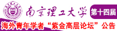 大鸡把操女人免费看的南京理工大学第十四届海外青年学者紫金论坛诚邀海内外英才！